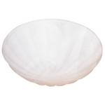 Replacement Glass Shade