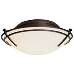 Two-Light Ceiling Fixture