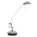 Adjustable Halogen Desk Lamp