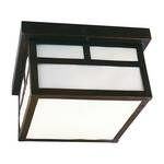 Frosted Glass Outdoor Ceiling Fixture