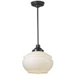 Martha Stewart Convertible Pendant