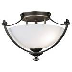 Semi-Flush Ceiling Light Fixture 
