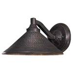 11-Inch Wide Outdoor Wall Light 