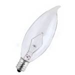 15-watt B10 incandescent bulb 2-pack