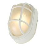 11-Inch Oval Bulkhead Light 