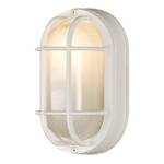 8-Inch Oval Bulkhead Light
