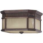Outdoor Ceiling Light