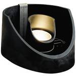 Adjustable Low Voltage Well Light