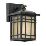 9-Inch Outdoor Wall Light 