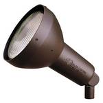 Adjustable 120 Volt Landscape Accent Light