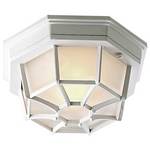 Outdoor Ceiling Fixture 