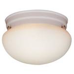 7-1/2-Inch Ceilng Fixture