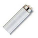 34-watt T12 fluorescent bulb