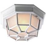 Outdoor Ceiling Fixture 