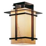 Outdoor Semi-Flush Ceiling Fixture