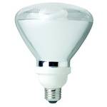 23-watt compact fluorescent R40 flood reflector bulb