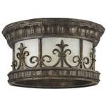 Flushmount Outdoor Ceiling Fixture