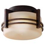 Outdoor Ceiling Light