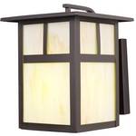Energy Star Qualified Outdoor Wall Light