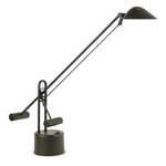 Adjustable Halogen Desk Lamp