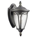 12-1/2-Inch Outdoor Wall Light