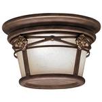 Flushmount Outdoor Ceiling Light