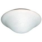 12-Inch Flushmount Ceiling Fixture