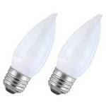 25-watt B10 incandescent bulb 2-pack