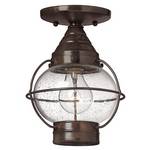 Convertible Outdoor Pendant/Semi-Flush Light Fixture