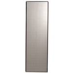 Mirrored Door with Plated Glass Frame