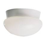 8-Inch Flushmount Ceiling Fixture