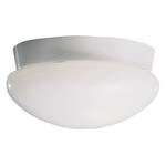 10-Inch Flushmount Ceiling Fixture
