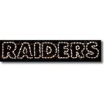 Oakland Raiders LED Team Logo Light