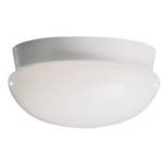 12-Inch Flushmount Ceiling Fixture