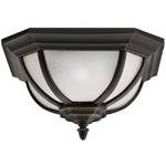 Outdoor Ceiling Fixture