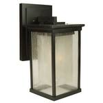 16.9-Inch Outdoor Wall Light