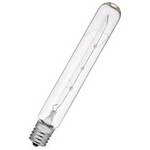 25-watt T6.5 incandescent bulb