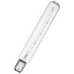 25-watt T6.5 incandescent bulb