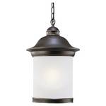 Outdoor Pendant Light