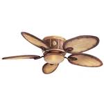 Ceiling Fan with Five Blades and Light Kit