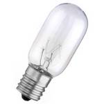 25-watt T8 incandescent bulb