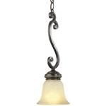 Energy Star Qualified Scroll Mini-Pendant 