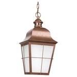Outdoor Pendant Light