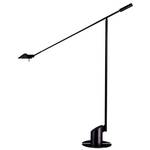 Adjustable Floor Lamp 