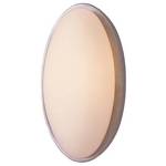 Energy Star Qualified Single-Light Sconce