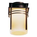 Outdoor Semi-Flush Ceiling Fixture