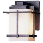 7-1/2-Inch Outdoor Wall Light