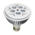 LED PAR30 Bulb