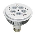 PAR30 Dimmable LED Flood Bulb