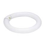 32-watt T9 fluorescent bulb